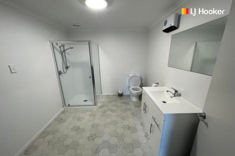 Photo of property in 15 Chapel Street, Kaikorai, Dunedin, 9010