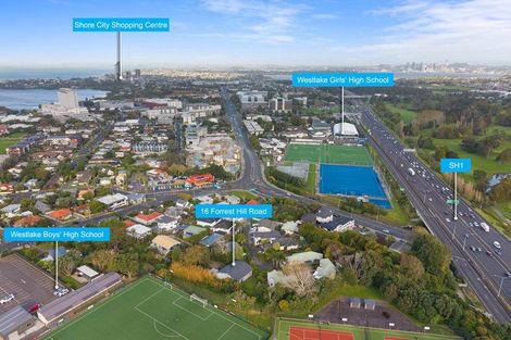 Photo of property in 16 Forrest Hill Road, Forrest Hill, Auckland, 0620