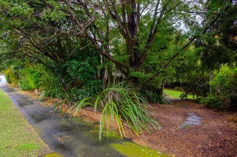 Photo of property in 45 Grendon Street, Maori Hill, Dunedin, 9010
