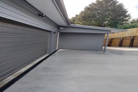 Photo of property in 45 Briden Drive, Tikipunga, Whangarei, 0112