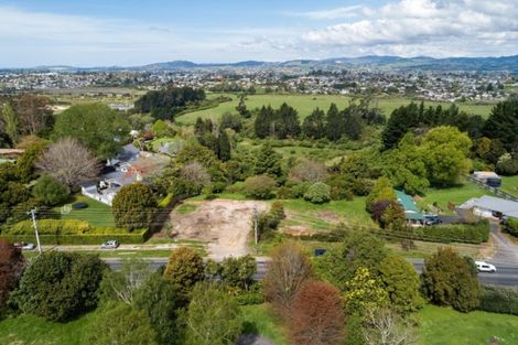 Photo of property in 288 Cambridge Road, Bethlehem, Tauranga, 3110
