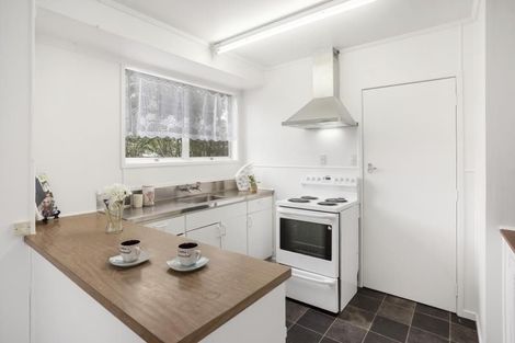 Photo of property in 20 Goodwin Drive, Rosehill, Papakura, 2113