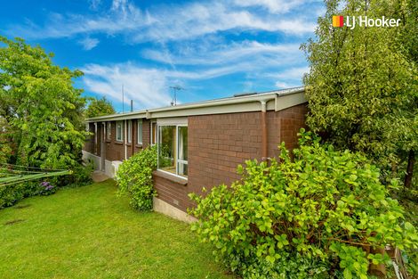 Photo of property in 10 Botting Place, Waverley, Dunedin, 9013