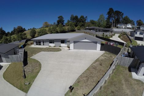 Photo of property in 47c Hartis Avenue, Huntly, 3700