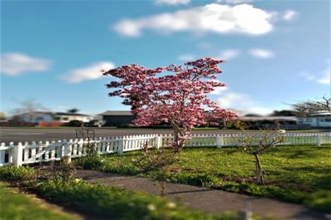 Photo of property in 11 Darlington Street, Ngatea, 3503