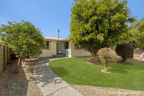 Photo of property in 40 Leefield Street, Blenheim, 7201