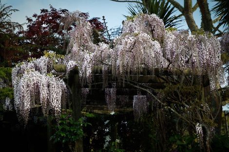 Photo of property in 1034 Ararimu Road, Ararimu, Drury, 2579