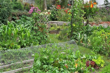 Photo of property in 24 Roseness Street, Palmerston, 9430