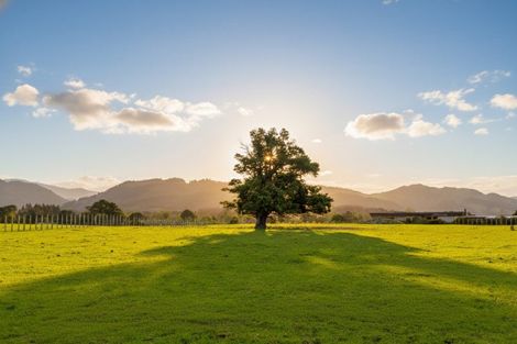 Photo of property in 284 Woodside Road, Woodside, Greytown, 5794