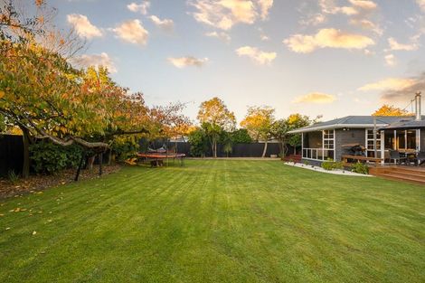 Photo of property in 306 Cranford Street, St Albans, Christchurch, 8052