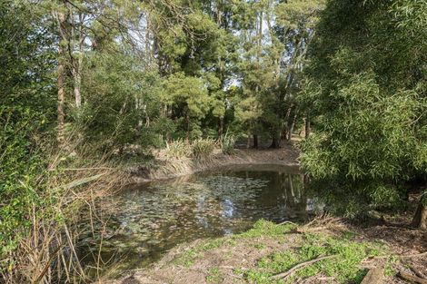 Photo of property in 307 Whananaki North Road, Opuawhanga, Hikurangi, 0181