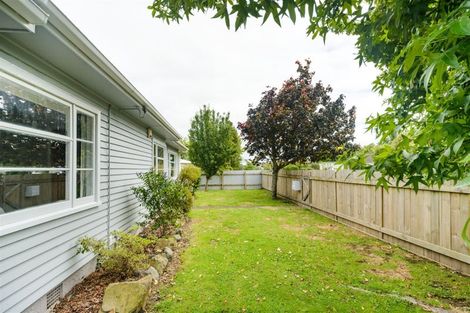 Photo of property in 19 Winchester Street, Awapuni, Palmerston North, 4412
