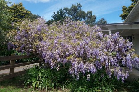 Photo of property in 154 Stanley Avenue, Te Aroha, 3320