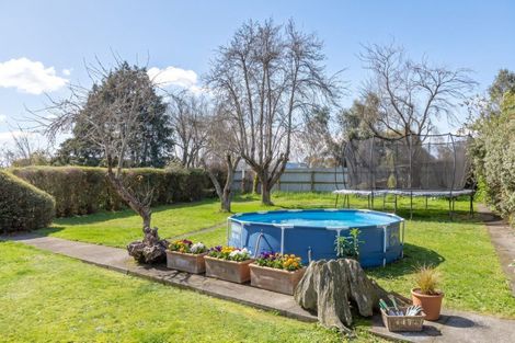 Photo of property in 138 Essex Street, Masterton, 5810