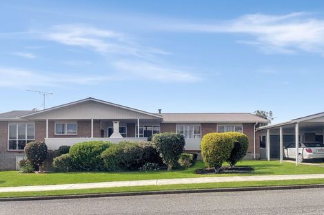 Photo of property in 26 Hillcrest Street, Tirau, 3410