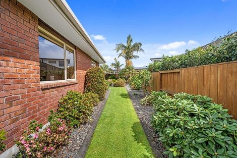 Photo of property in 28 Redhaven Place, Bethlehem, Tauranga, 3110