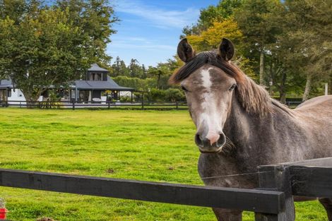Photo of property in 1235 Omanawa Road, Omanawa, Tauranga, 3171