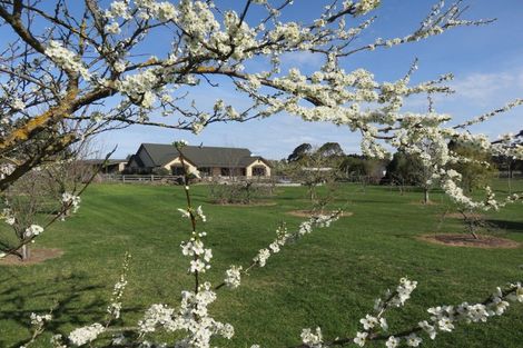 Photo of property in 37 Kerrytown Road, Levels, Timaru, 7975