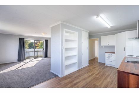 Photo of property in 172 Nith Street, Appleby, Invercargill, 9812