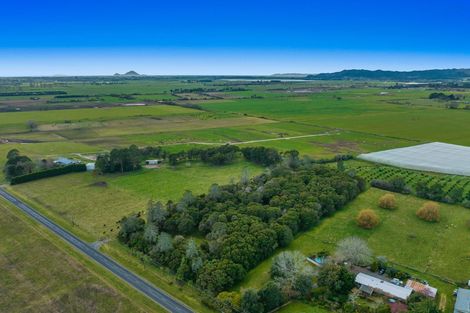 Photo of property in 449 Grieve Road, Te Teko, Whakatane, 3193