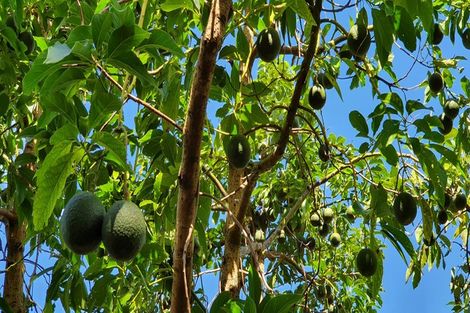 Photo of property in 574 Kerikeri Road, Kerikeri, 0293