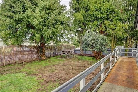 Photo of property in 17 Brocas Avenue, Hillcrest, Hamilton, 3216