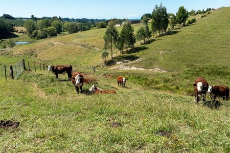 Photo of property in 77 Redwood Park Road, Redwood Valley, Richmond, 7081