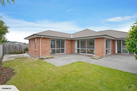 Photo of property in 16 Tommy Street, Pegasus, 7612