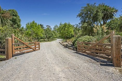 Photo of property in 193 Whitecliffs Road, Whitecliffs, Coalgate, 7673
