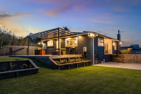 Photo of property in 16 Glen Street, Levin, 5510