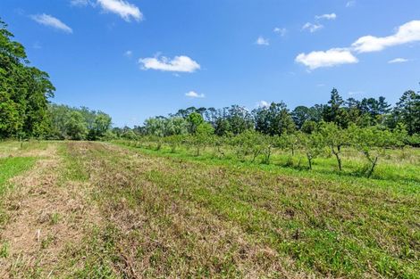 Photo of property in 529 State Highway 16, Kumeu, 0810