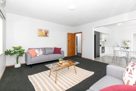 Photo of property in 167 Clarkin Road, Fairfield, Hamilton, 3214