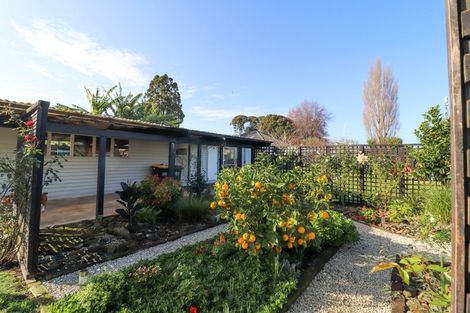 Photo of property in 103 Lowe Avenue, Thames, 3500