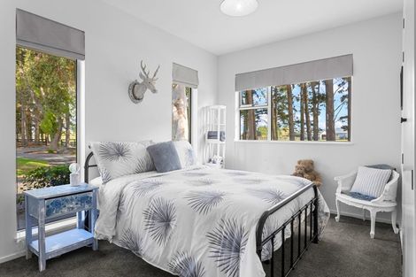 Photo of property in 344 Lineside Road, Flaxton, Kaiapoi, 7691