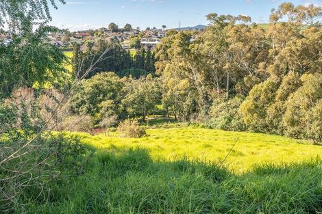 Photo of property in 99 Carmen Way, Ohauiti, 3112