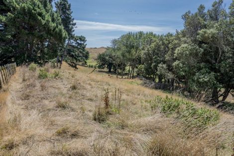 Photo of property in 190 Hokio Sand Road, Hokio Beach, Levin, 5571