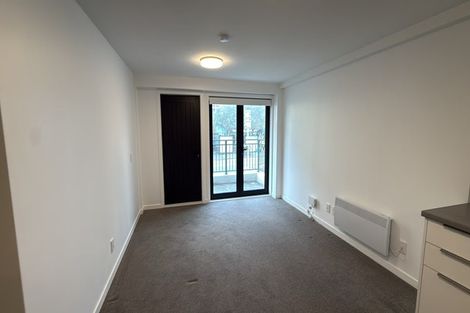 Photo of property in 102/2 Colombo Street, Newtown, Wellington, 6021