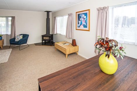 Photo of property in 4 Vogel Crescent, Masterton, 5810