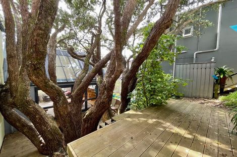 Photo of property in 19 Everton Terrace, Kelburn, Wellington, 6012