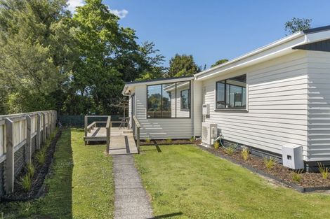 Photo of property in 117 Brecon Road, Stratford, 4332