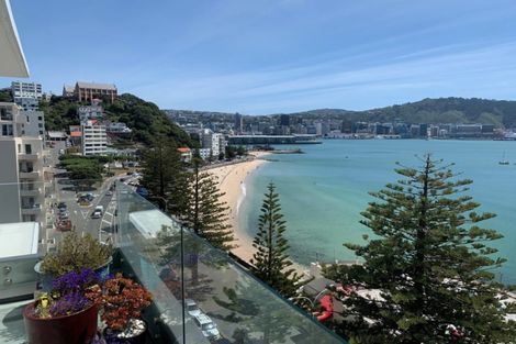Photo of property in Oriana Apartments, 248 Oriental Parade, Oriental Bay, Wellington, 6011