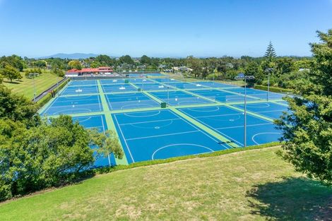 Photo of property in 35 Hinton Avenue, Forest Lake, Hamilton, 3200