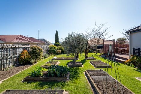 Photo of property in 35 Hope Drive, Witherlea, Blenheim, 7201