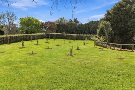 Photo of property in 573a Kuranui Road, Morrinsville, 3372