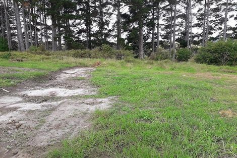 Photo of property in 613 Awaroa Road, Broadwood, Kaitaia, 0481