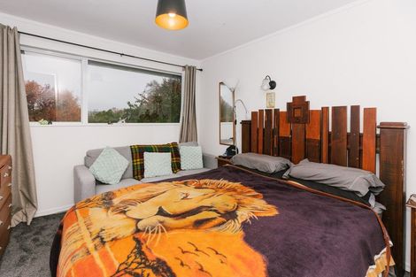 Photo of property in 23b Pahiatua Street, Hokowhitu, Palmerston North, 4410