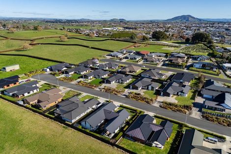 Photo of property in 19 Wikaira Road, Te Awamutu, 3800