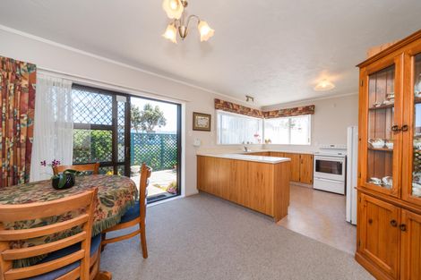 Photo of property in 1 Mcarthur Street, Terrace End, Palmerston North, 4410