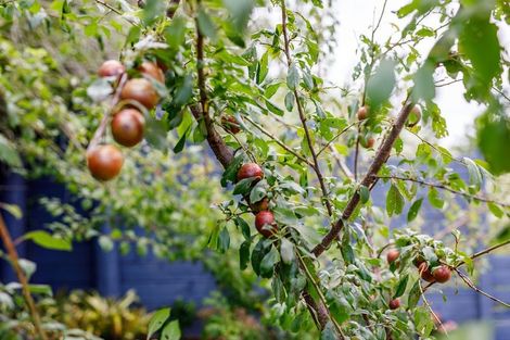 Photo of property in 61 Appenzell Drive, Whakatane, 3120