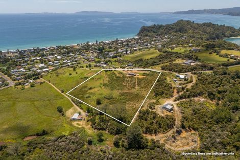 Photo of property in 26 Huarere Rise, Whangapoua, Coromandel, 3582